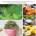 thumbnail image 4 of Aguja de pino para té Té de bienestar de aguja de pino a base de hierbas naturales Sin productos químicos Tmvgtek Para estrenar, 4 of 9