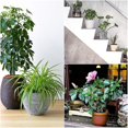 thumbnail image 3 of 48pcs Plant Pots Feet For Outdoor Flower Pot Feet Invisible Plant Pots Risers Pad Gardening Pot, 3 of 4