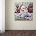 thumbnail image 3 of Trademark Fine Art 'White Poodle' Canvas Art by Jenny Newland, 3 of 3