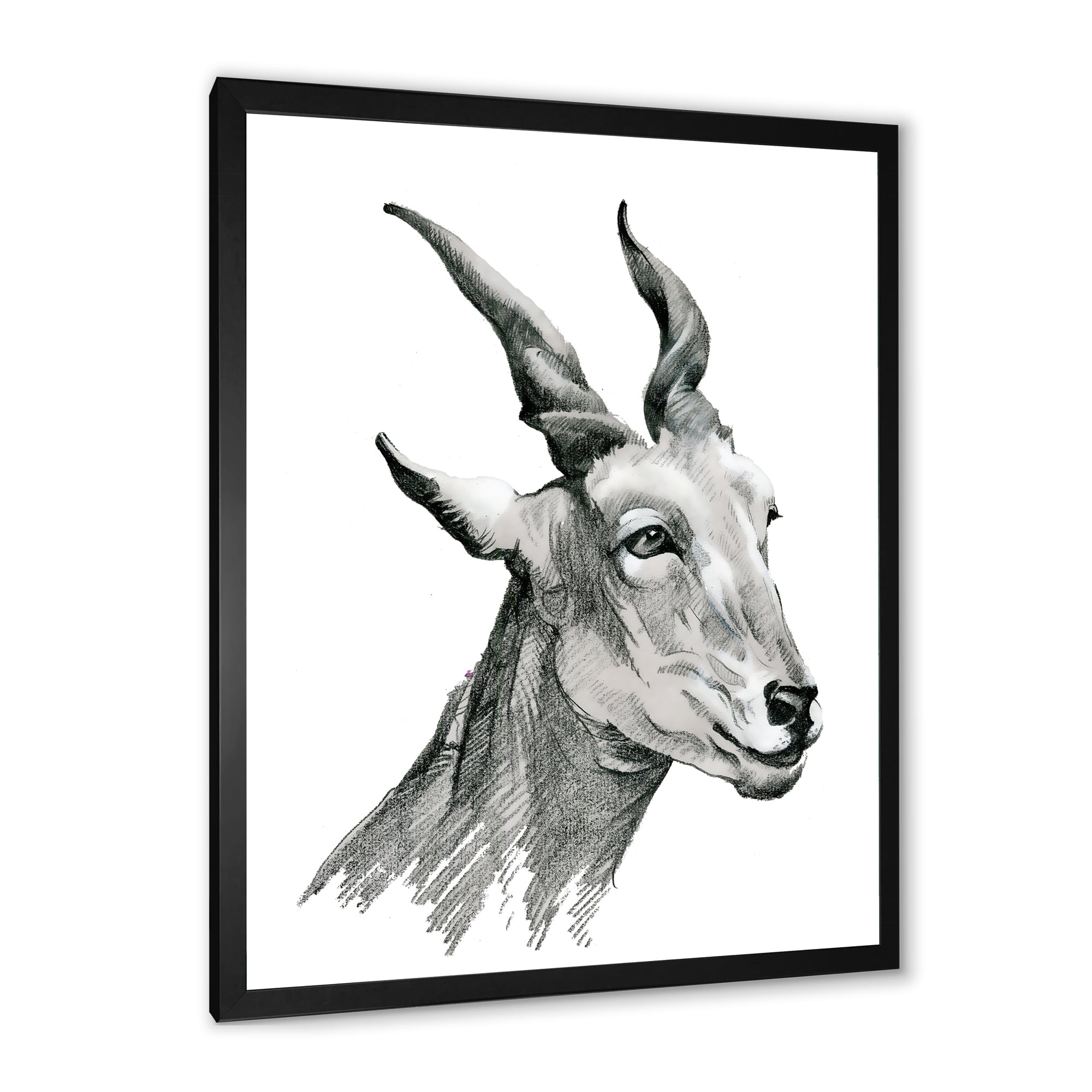 Designart 'Black and White Portrait Of Goat I' Farmhouse Framed Art Print