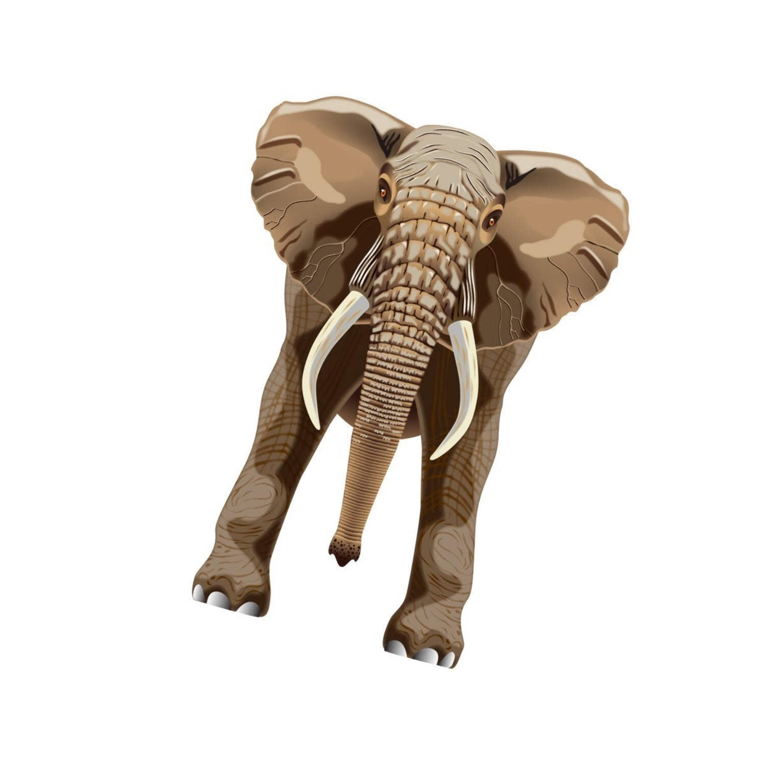 X-Kites SkyZoo Elephant Kite 40 Multi-Colored