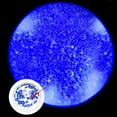 thumbnail image 4 of Fyydes Camera Magnifier, Universal Phone Microscope Magnifier 60~100X Zoom In with LED and UV Light Tiny Objects Observation Tool, Phone Camera Magnifier, 4 of 10