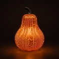 thumbnail image 5 of Fall Decorations for Home,Crackle Glass Pumpkin Light,Battery Operated Led Pumpkin Lamp,Light up Glass Night Lights, Ideal for Halloween,Thanksgiving Rustic Decor, Xmas Decor, 5 of 6