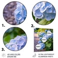 thumbnail image 3 of Designart "Blue Blooms Of Hydrangea Ocean-Inspired Petals" Hydrangea Metal Art Living Room, 3 of 5