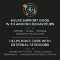 thumbnail image 2 of Veterinary Supplements Calming Care Powdered Dog Calming Probiotic, 30 g, 2 of 5