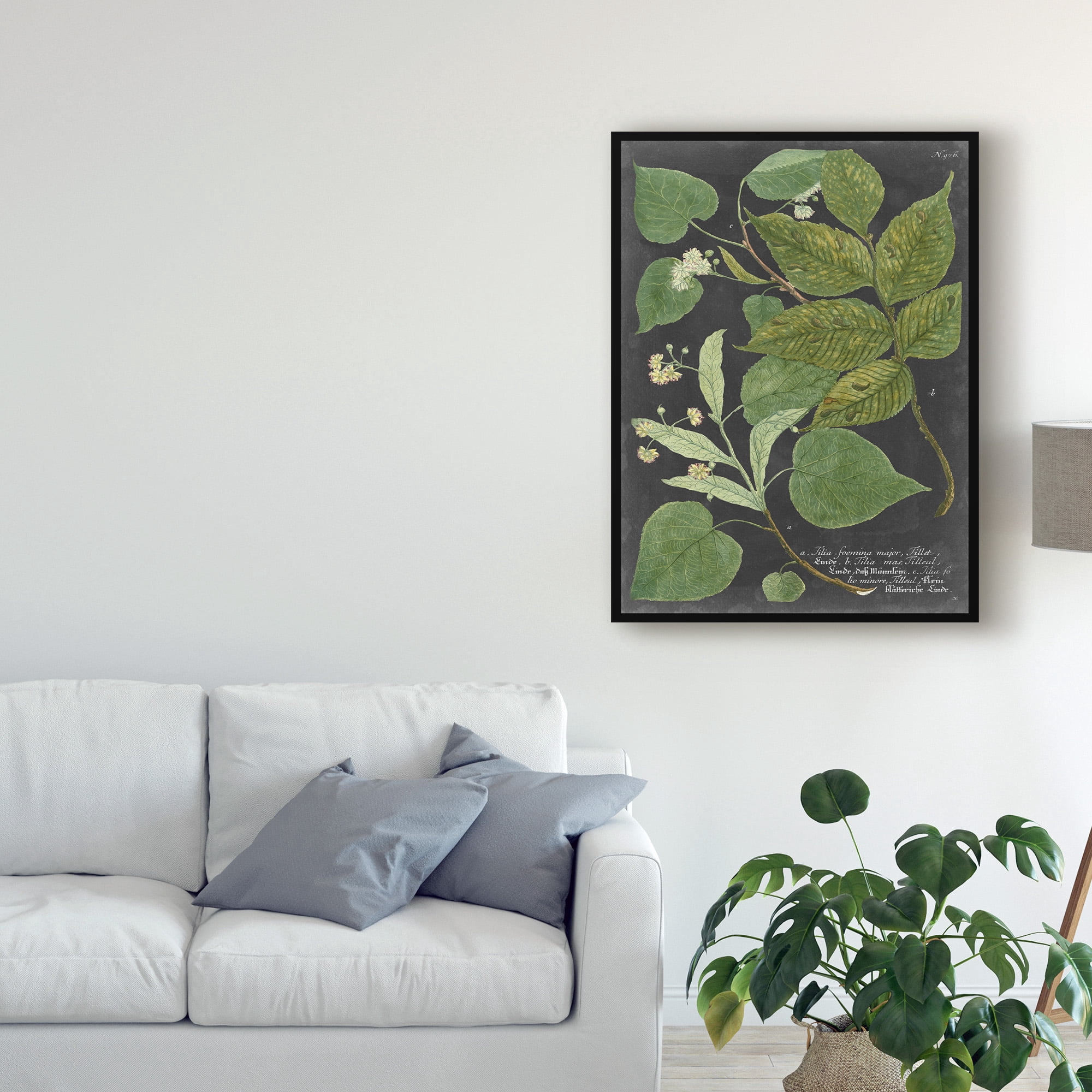 Trademark Fine Art 'Dramatic Weinmann Greenery III' Canvas Art by Vision Studio
