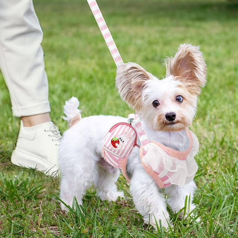 Dog Harness and Leash Set with Bags Striped Lace No Pull