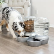 Petmate Replendish Gravity Pet Waterer Water Bowl Station with Microban for Cats and Dogs, 1 Gallon, Gray