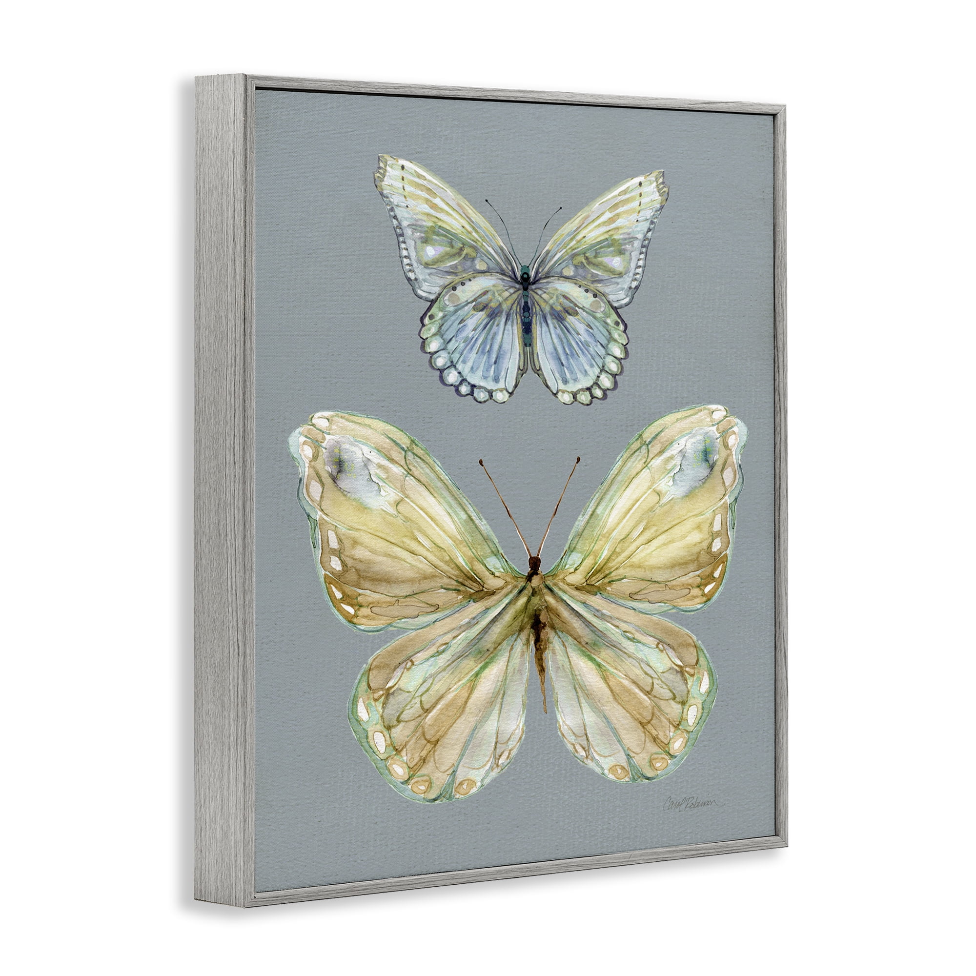 Stupell Industries Delicate Butterflies on Slate Gray Framed Giclee Art, design by Carol Robinson