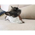 thumbnail image 5 of Perfect Pet Chews - Elk Antlers for Dogs Medium Treat - 5-Count, 5 of 5