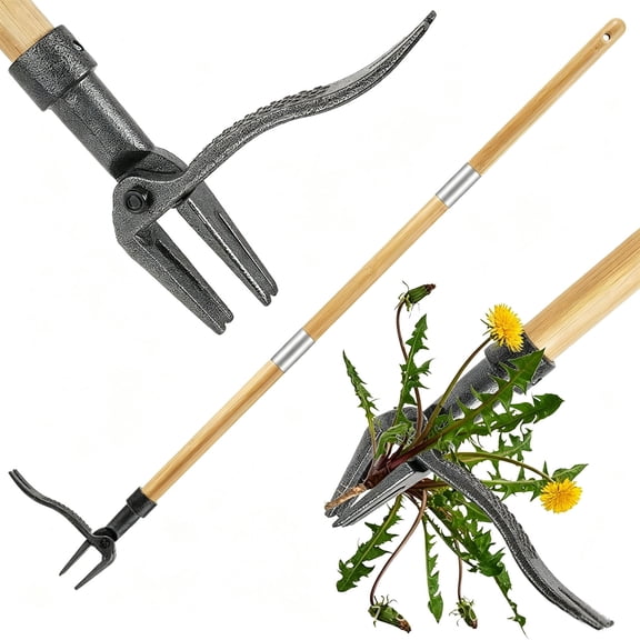 Weed Puller Stand Up Weed Puller Tool with Wooden Long Handle Foot Platform Design 4-Claw Steel Head & Removable 3-Section Pole Garden Tools-Easily Remove Weeds Without Bending or Kneeling