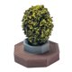 thumbnail image 2 of Modelo de Terraza Yotijar 1:64 Escenario de Diseño para mesa de arena Adorno de escritorio, 2 of 9