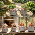 thumbnail image 2 of The Growing Ground 2 Pack Turtle Planter with Drainage Hole, Indoor Outdoor Cute Decorative Plant Pots, Desk, Garden, Gift for Plant Lovers, Pink, 2 of 10