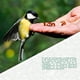 thumbnail image 5 of CHAO Wildlife Friend Comedero para pájaros colgante - Comedero para pájaros al aire libre - Diámetro: 18 cm - Columna de alimentación para pájaros colgante de metal para comida para pájaros., 5 of 5