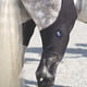 thumbnail image 1 of Par de Fajas para Articulación de la Rodilla del Caballo con 4 Paquetes de Hielo Reutilizables, 1 of 5