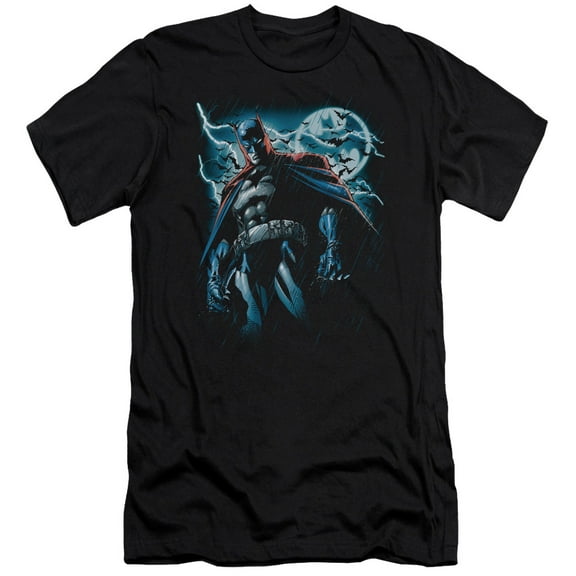 Batman Stormy Knight S/S Adult 30/1 T-Shirt Black