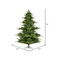 thumbnail image 3 of Vickerman 7.5' x 67" Sherwood Fir Artificial Christmas Tree with Warm White LED Lights, 3 of 5