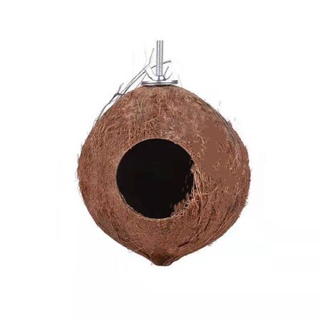 Picture of Tatum88 Bird Hamster House Coconut House,Coconut Shells Can Fixed ...
