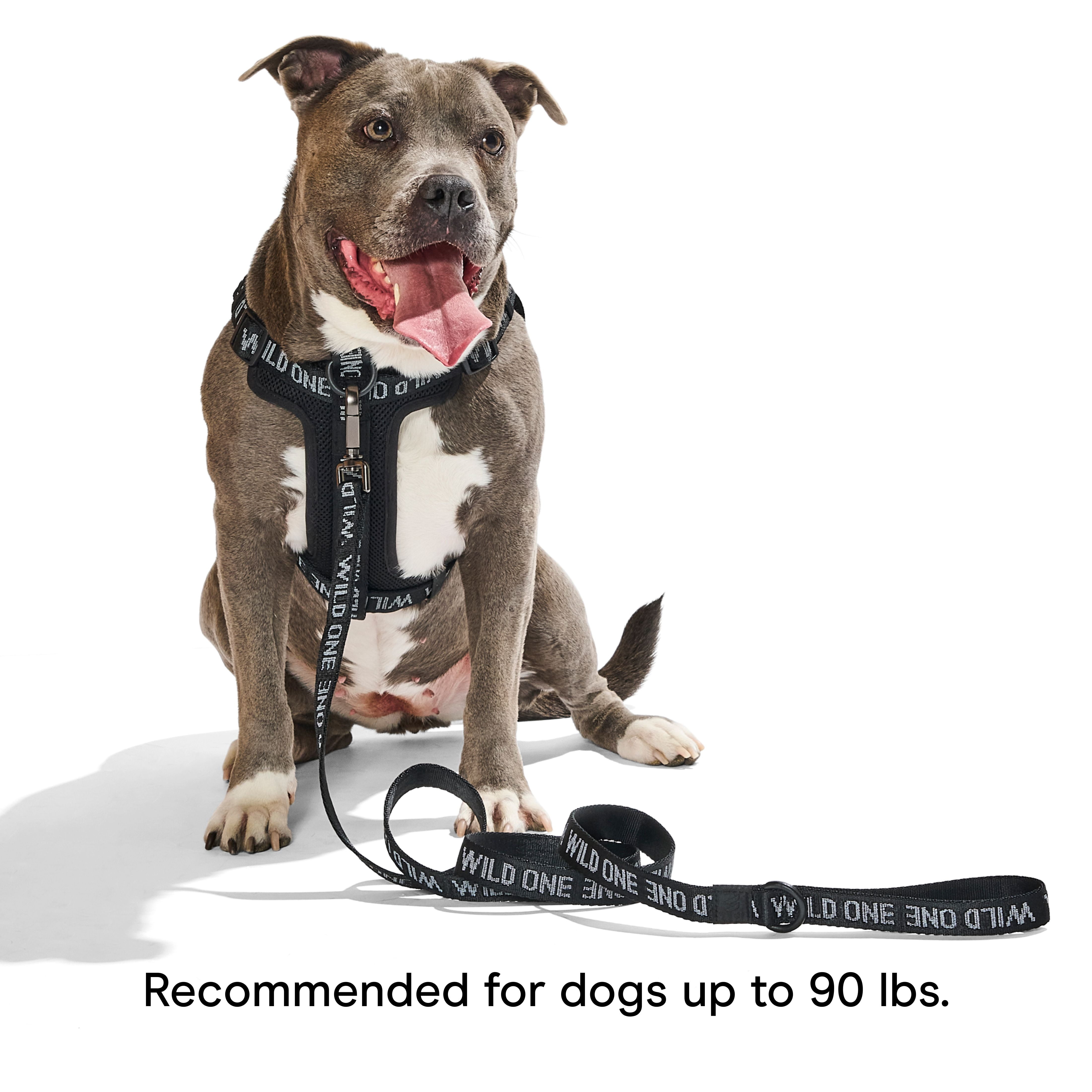 Wild One 6ft Heavy Duty Lightweight Nylon Dog Leash, Black Reflective
