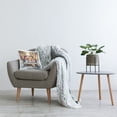 thumbnail image 3 of Stupell Industries Special Holiday Delivery Decorative Printed Throw Pillow, 18 x 18, 3 of 8