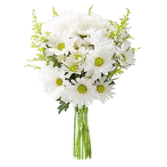 KaBloom : Bountiful Beauty of White Daisies with Vase, Next-Day Delivery, Gift for all occasions