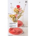 thumbnail image 4 of Hidropónico Flower Vase Paisaje Terrario Contenedor Crown, 4 of 5