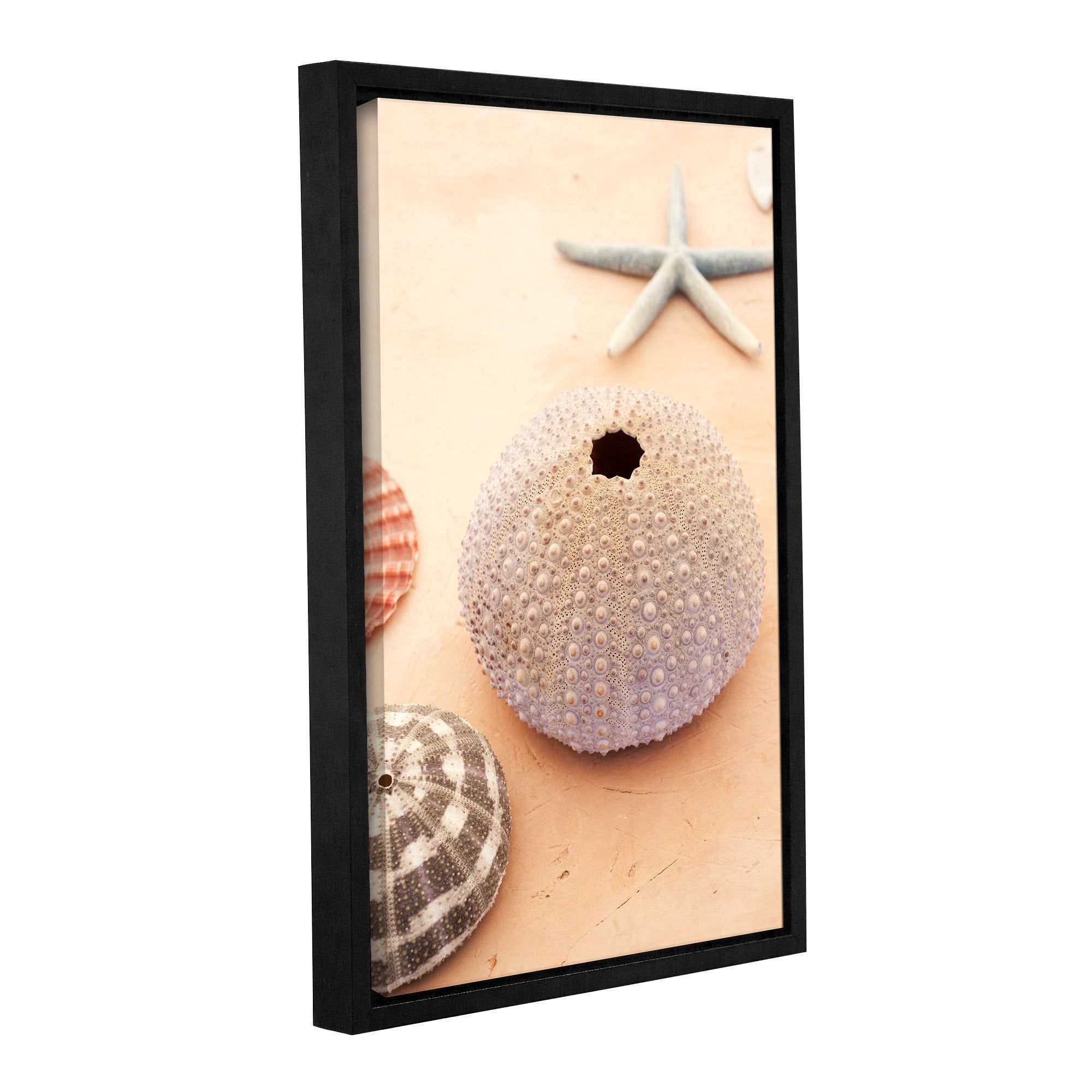 ArtWall Elena Ray "Seashells" Gallery-Wrapped Floater-Framed Canvas