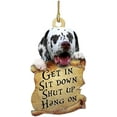 thumbnail image 1 of ATTOEATTOE Double-Sided Animals Pendant Decoration Car Accessories Bag Accessories Car Hanging Ornament Rearview Mirror Pendant Birthday Gift Funny Auto Decoration Accessories Creative GiftST-001, 1 of 5