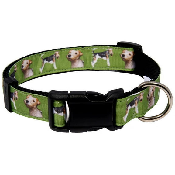 Country Brook Design- Deluxe Wire Fox Terrier Green Ribbon Dog Collar Limited Edition - Small