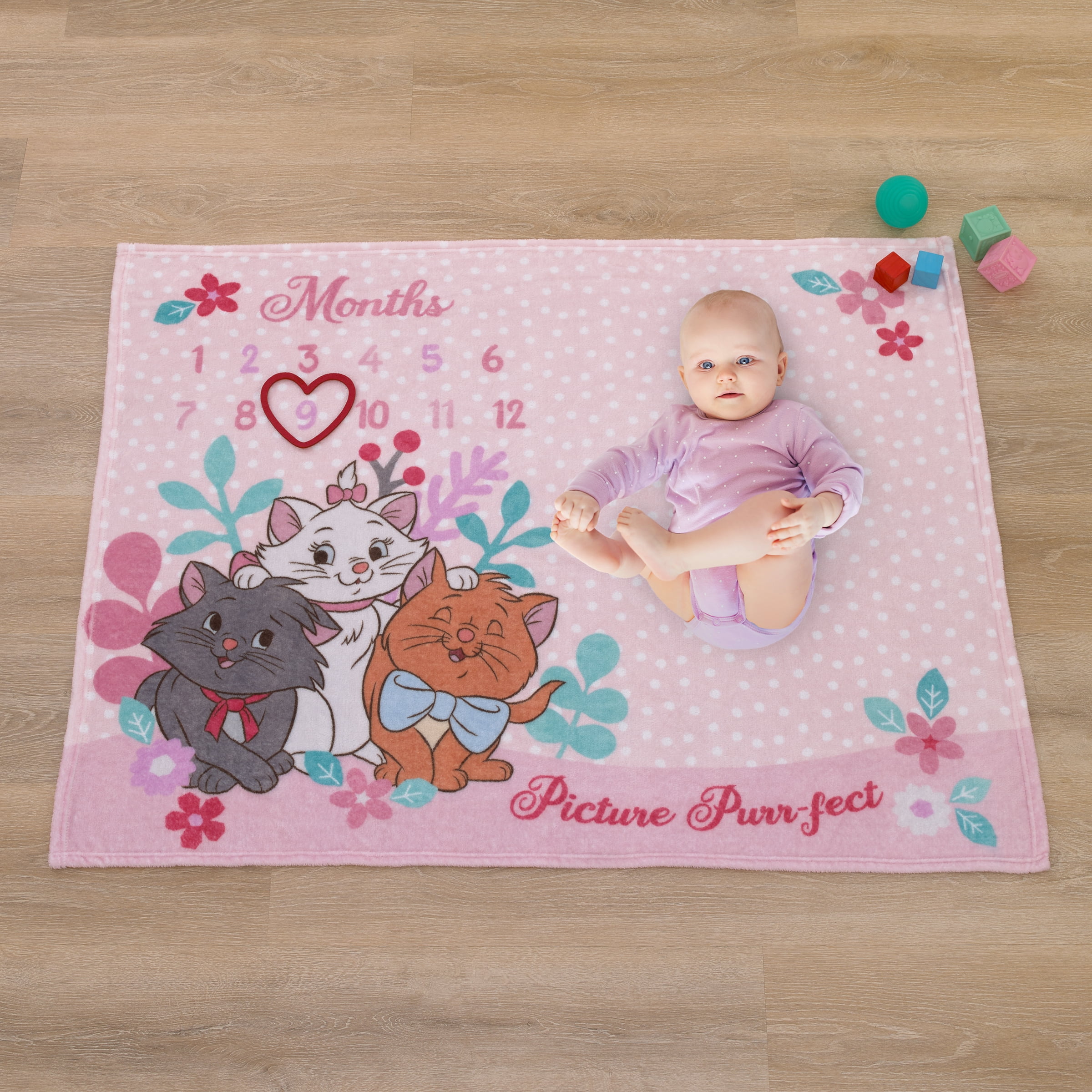 Disney Aristocats Photo Op Milestone Baby Blanket