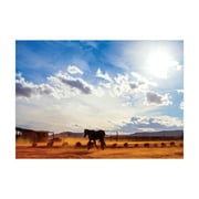 Ambesonne Western Jigsaw Puzzle, Horse Valley Sky View, Heirloom-Quality Fun Activity for Family Durable Cardboard, 1000 pcs, Cream Blue