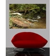 thumbnail image 2 of Guernsey Stream Wall Decal, 2 of 2