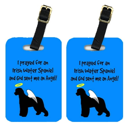 Pair of 2 Irish Water Spaniel Luggage Tags