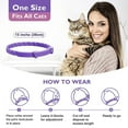 thumbnail image 6 of VALLARY PET CARE - Behavior and Calming Collar for Cats, 4Ct, Purple, Helps for 60 Days, Designed to Reduce Stress and Anxiety, 6 of 9