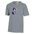 thumbnail image 2 of Youth  Gray Furman Paladins Logo Comfort Wash T-Shirt, 2 of 3