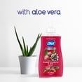thumbnail image 6 of Dial Antibacterial Limited Edition Frosted Cranberry & Pine Liquid Hand Soap, 11 oz, 6 of 10