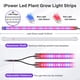 thumbnail image 2 of Tiras de Luz LED para Cultivo iPower 20W Rojo Azul con Temporizador y Regulable, 2 of 7