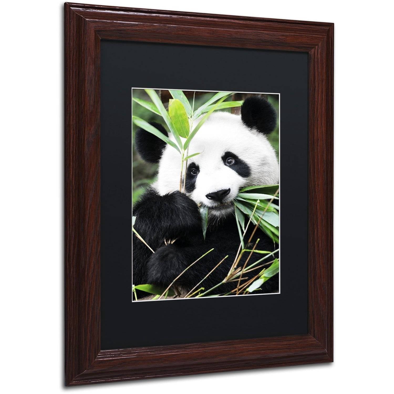 Trademark Fine Art "Giant Panda I" Canvas Art by Philippe Hugonnard, Black Matte, Wood Frame