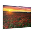 thumbnail image 5 of Beautiful Poppy Field During Sunrise Flower Canvas Wall Art for Home Decor Ready-to-Hang, 5 of 18