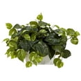 thumbnail image 2 of Nearly Natural Pothos with White Wash Planter - Silk Plant Green, 2 of 5