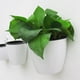 thumbnail image 2 of Macetero de riego automático colgante de plástico blanco montado en la pared, maceta de pared con contenedor de plantas de hierbas de Cactus de flores pequeñas, Juego de 3, 2 of 5