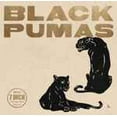 thumbnail image 2 of PUMAS Noirs (Boîte Ed. de Collection 6x7 Pouces) (LP/Vinyle), 2 of 2