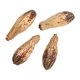 thumbnail image 5 of Nuez Seca Decorativa ANGGREK 5 Bolsas Para Loros, 5 of 7