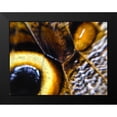 thumbnail image 2 of Grayscale 18x15 Black Modern Framed Museum Art Print Titled - Butterfly Wing I, 2 of 5