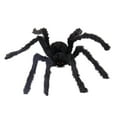 thumbnail image 2 of Halloween Giant Spider Decorations Outdoor Indoor, Realistic Large Scary Hairy Black Webworm Props for Home Yard Garden Party Haunted House Halloween Decor with Giant Web, 2 of 9