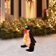 thumbnail image 5 of Teissuly Clearance Lighted Christmas Animals, Glittering Animals With Strip Lights For Outdoor Patio Decoration, Artificial Pre-lit Christmas Decorative LED Lights(White, 36x16cm /14.17x6.3in) Teissuly WER2023081500742, 5 of 6