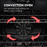 30 in. Nebula Collection 5.0 cu. ft. 5 burner Gas Range in Stainless Steel