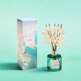thumbnail image 5 of COCORRÍNA  Hawaii Melody Reed Diffuser Set, 5 of 8