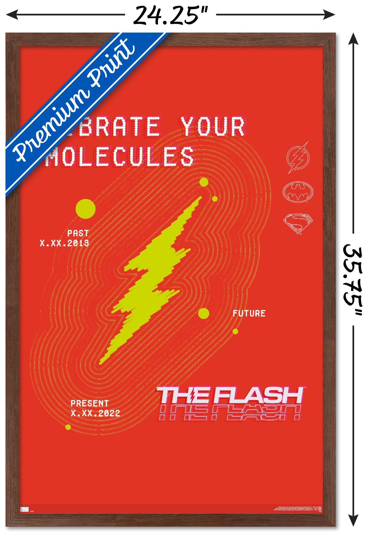 DC Comics Movie The Flash - Vibrate Your Molecules Wall Poster, 22.375" x 34" Framed