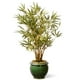 National Arbre GAB30-22G 22 Po Plante de Bambou dans un Pot en Céramique - Vert – image 1 sur 1